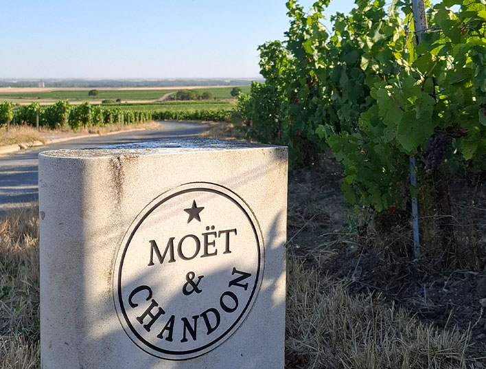 cobbles-wielrennen-champagne-frankrijk-uitgelicht